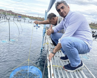 El extracto secreto de algas que pretende combatir enfermedades clave en el camarón